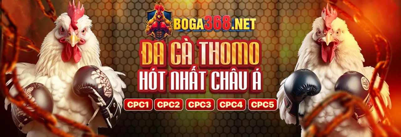 Sân đá gà sôi động tại F1680