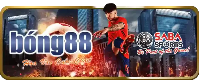 Quản lý Cookie và Quyền riêng tư